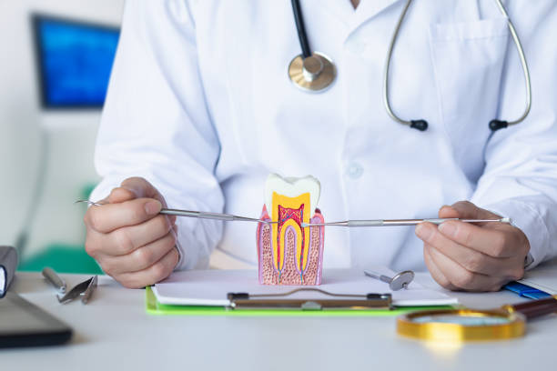 Best Emergency Tooth Extraction  in Shil, OH
